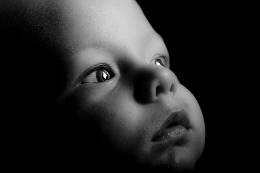10 Best Video Baby Monitors 29